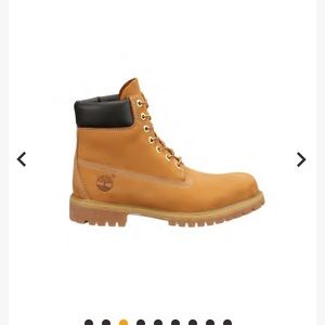 Men’s Timberland Premium Waterproof Boots NIB